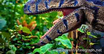 Interactive dinosaur show Dinomania is heading to Coventry in May 2022 - Coventry Live