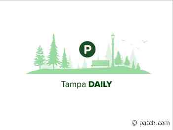 🌱 Tampa Mayor Gifts Bikes + Gasparilla Festival Of The Arts 2022 - Patch.com