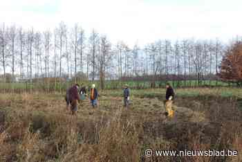 Vrijwilligers Natuurpunt planten ruim driehonderd struiken in vallei van de Kleine Aa