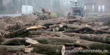 Was Sie wissen müssen: Kinder-Impfen in Ahaus und Kahlschlag in Stadtlohn - Ruhr Nachrichten