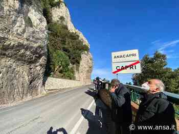 Masso su strada a Capri, rocciatori in azione per verifiche - Agenzia ANSA