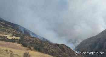 Cusco: incendio forestal en Acopía y Checacupe deja un menor muerto - elcomercio.pe