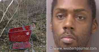 Alleged Serial Killer Finally Caught After Virginia Murder Spree