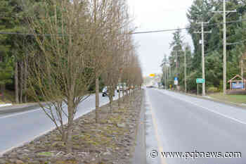 City of Parksville releases update on urban forest strategy - Parksville-Qualicum Beach News