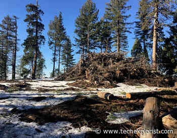 Carbon beneficial forest management using innovative wood - Tech Explorist