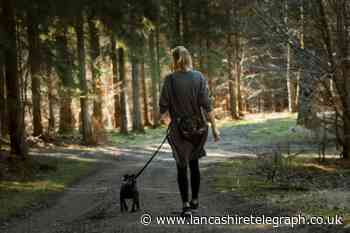 Dog owners could face £1000 fines for breaking these rules