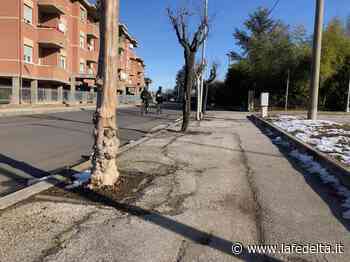 Una “nuova” via San Michele per completare il giro di Fossano a piedi - La Fedeltà