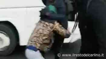 Modena, calci e pugni: ennesima rissa tra studenti - il Resto del Carlino