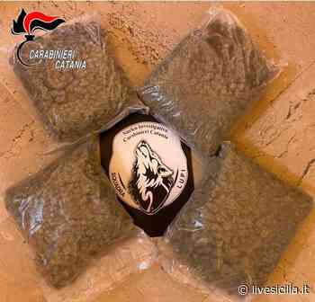 Catania, indagine dei “Lupi”: trovati quattro chili di droga - Livesicilia.it