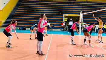 B1: Castellana Grotte concentrata e determinata, netto 3-0 contro Catania - BariToday