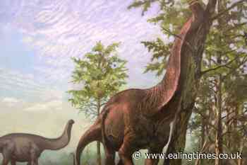 Sauropod dinosaurs preferred warmer regions of Earth, study suggests - Ealing Times