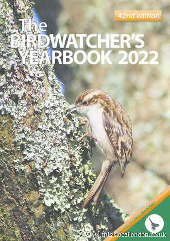 A yearbook the whole family can enjoy (get your copy at a discount courtesy of the Wild Things column)