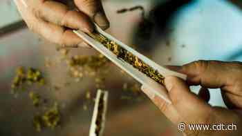 Multati ingiustamente per l'«erba», la Città non restituirà i soldi - Corriere del Ticino