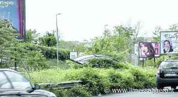 Verde pubblico a Roma, manca un funzionario: salta lo sfalcio dell'erba dalle strade - ilmessaggero.it