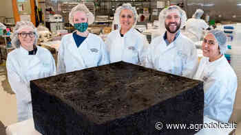 Massachusetts: ecco il brownie all’erba più grande del mondo - Agrodolce