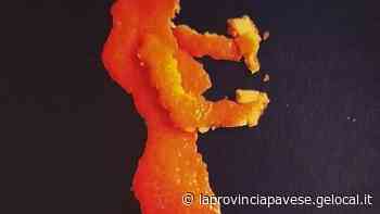 Le bucce d’arancia di Erba per dire «no» alla violenza - La Provincia Pavese