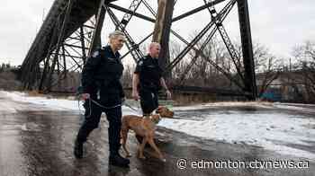 Edmonton's animal cruelty investigations unit example for other police services - CTV News Edmonton
