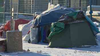 Edmonton homeless agencies coping with increased demand during cold snap - CBC.ca