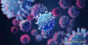 Omicron COVID-19 variant cases confirmed at three Edmonton schools | News - Daily Hive