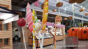 À qui la communauté urbaine d'Arras verse des subventions? - La Voix du Nord