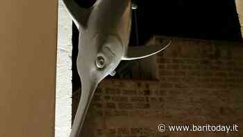 Inaugurata a Polignano a mare l'opera di Giuseppe Teofilo per il museo dell'associazione FPS Arte e Cultura - BariToday