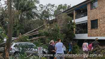 Clean-up on Sydney's northern beaches - Gloucester Advocate