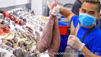 Seafood protection plan ahead of bushfires - Gloucester Advocate