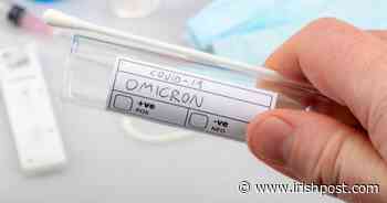 Omicron already "dominant strain" in Ireland, says Chief Medical Officer - Irish Post