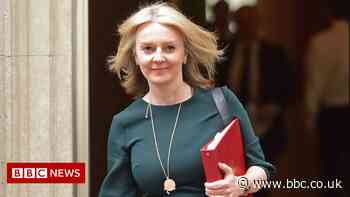 Liz Truss replaces Lord Frost in post-Brexit talks