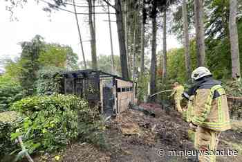Vlammen vernielen tuinhuisje - Het Nieuwsblad