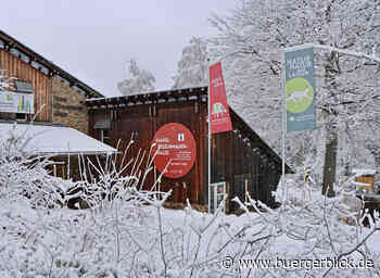 Wohnhausbrand, PNP-Monopol, Corona-Demos - Nachrichten - Bürgerblick Passau - Bürgerblick Passau
