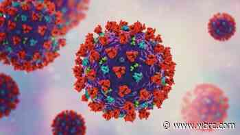 Local expert says you are still more likely to catch the Delta Variant right now than Omicron - WBRC