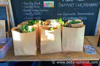 Earthwise food security programs made a difference in 2021 - Delta-Optimist
