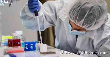 Omicron surge predicted to peak higher than delta wave in King County: ‘It’s here and it’s moving fast’ - The Seattle Times