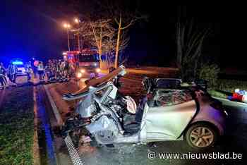 Man (­26) ernstig gewond na klap tegen boom op middenberm N16