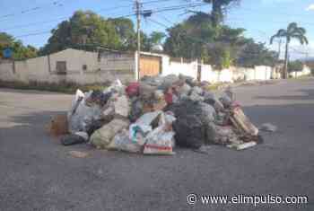 ▷ ¡Con montaña de basura! Habitantes de La Mata, Cabudare, protestaron por falta de aseo urbano #20Nov - elimpulso.com
