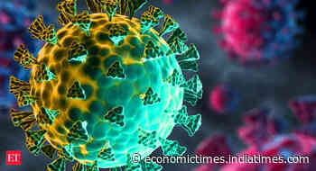 Omicron cases may outpace COVID-19 Delta surge but only mild cases reported in India so far: Experts - Economic Times