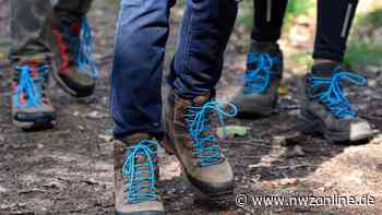 Wegebau im kommenden Jahr: Diese Projekte stehen unter Vorbehalt - Nordwest-Zeitung