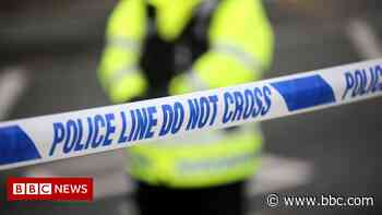 St Helens dog attack: Woman discharged from hospital - BBC News