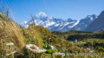 New things to do in NZ this summer: Mackenzie Region - New Zealand Herald