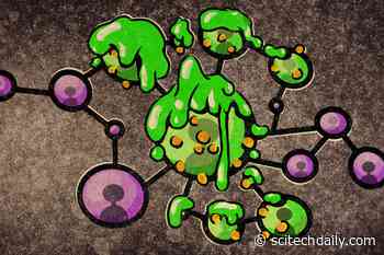 MIT Scientists Find Clues to Why Fake News Snowballs on Social Media