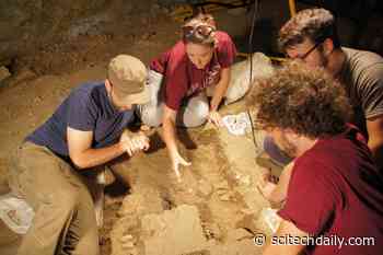 Europe’s Earliest Female Infant Burial Reveals: Mesolithic Society Honored Its Youngest Members
