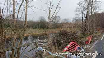 Falkirk Provost's despair as danger road repair is not considered urgent - Falkirk Herald