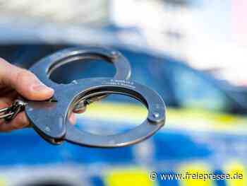 Mutmaßliche Buntmetall-Diebe auf frischer Tat ertappt - Freie Presse