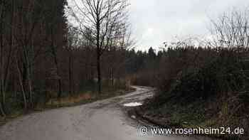 Deponiestreit: Ein Bürgerentscheid rückt in Babensham näher