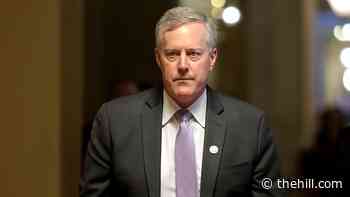 Meadows contempt vote poses thorny questions for DOJ