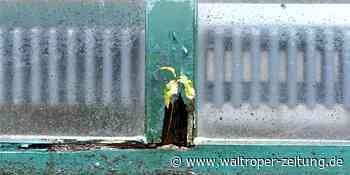 Stadt bekennt sich zur Grundsanierung der Heinrich-Kielhorn-Schule - Waltroper Zeitung
