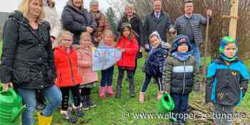 Pflaumenbaum gepflanzt – Waltroper Kinder freuen sich schon auf die Ernte - Waltroper Zeitung