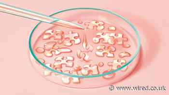 This Startup Is Making—and Programming—Human Cells