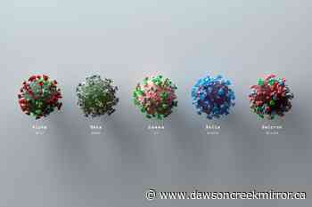 Omicron FAQ: How is it different? Is it a 'super-variant?' Can it evade vaccines? How transmissible is it? - Dawson Creek Mirror